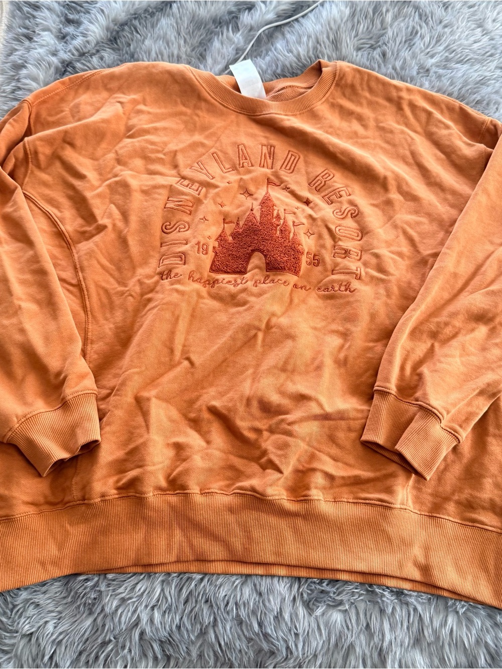 Disneyland resort sweatshirt